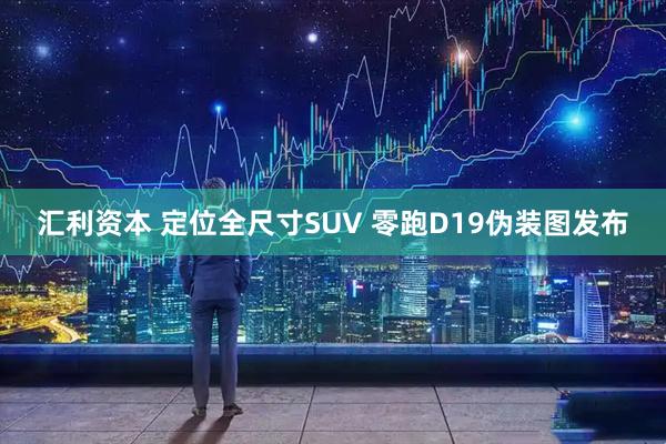 汇利资本 定位全尺寸SUV 零跑D19伪装图发布