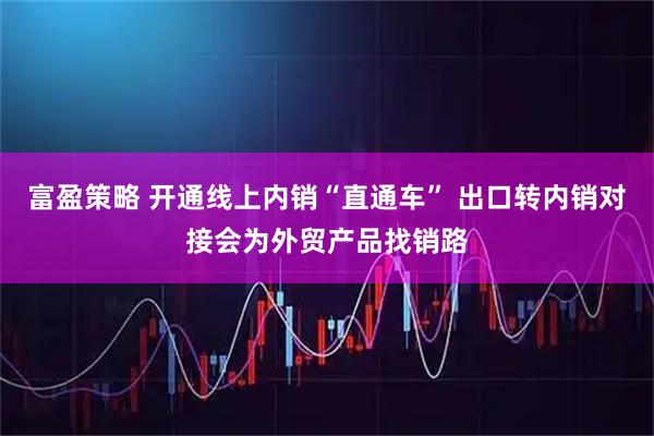 富盈策略 开通线上内销“直通车” 出口转内销对接会为外贸产品找销路