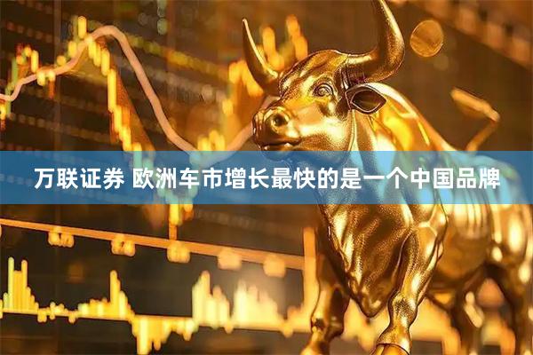 万联证券 欧洲车市增长最快的是一个中国品牌