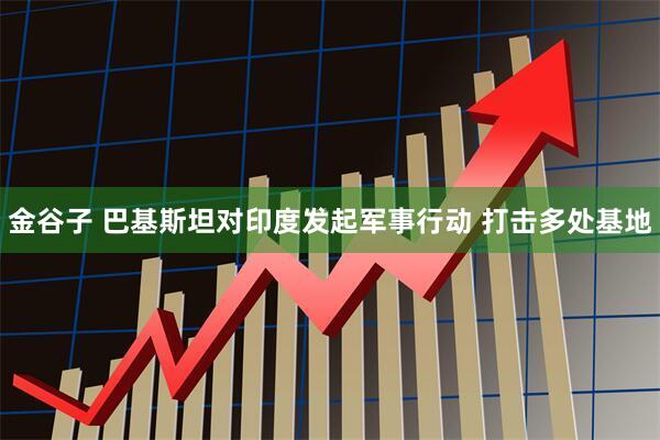 金谷子 巴基斯坦对印度发起军事行动 打击多处基地