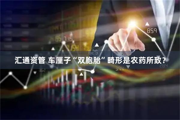 汇通资管 车厘子“双胞胎”畸形是农药所致？