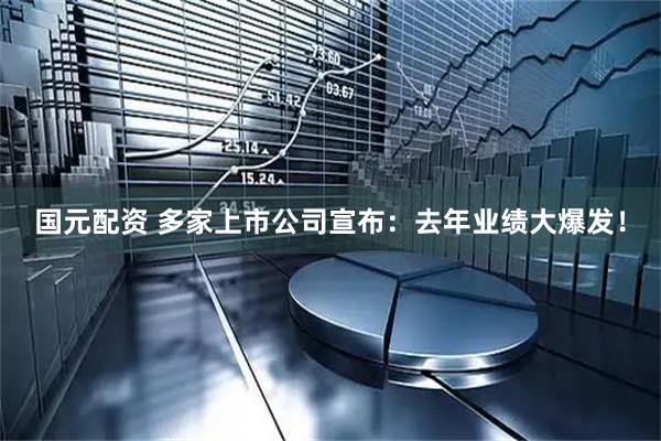 国元配资 多家上市公司宣布：去年业绩大爆发！