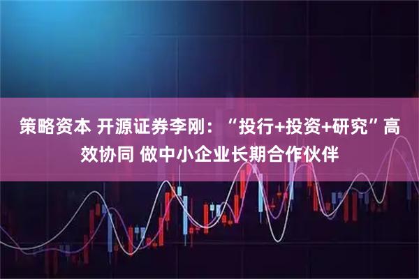 策略资本 开源证券李刚：“投行+投资+研究”高效协同 做中小企业长期合作伙伴