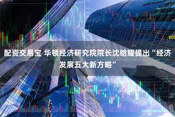 配资交易宝 华顿经济研究院院长沈晗耀提出“经济发展五大新方略”