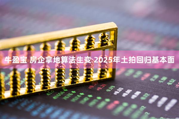 牛盈宝 房企拿地算法生变 2025年土拍回归基本面