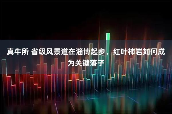 真牛所 省级风景道在淄博起步，红叶柿岩如何成为关键落子