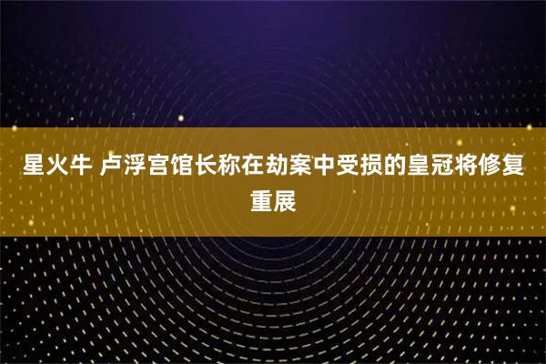星火牛 卢浮宫馆长称在劫案中受损的皇冠将修复重展