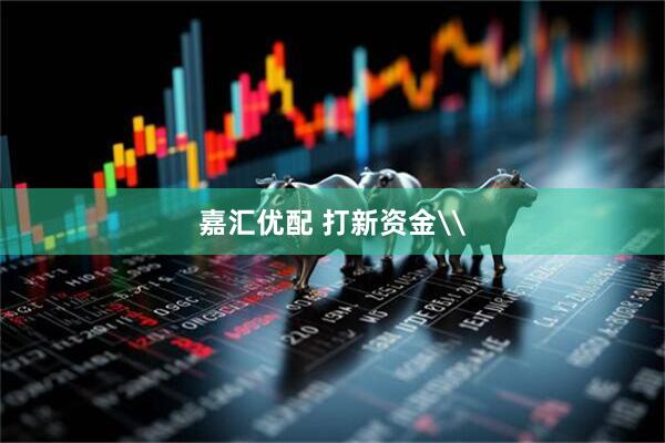嘉汇优配 打新资金\