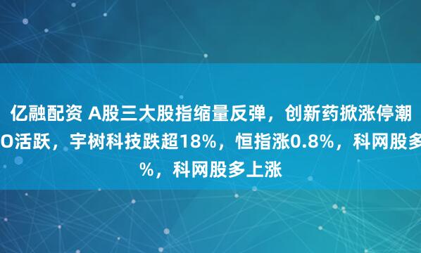 亿融配资 A股三大股指缩量反弹，创新药掀涨停潮，CPO活跃，宇树科技跌超18%，恒指涨0.8%，科网股多上涨